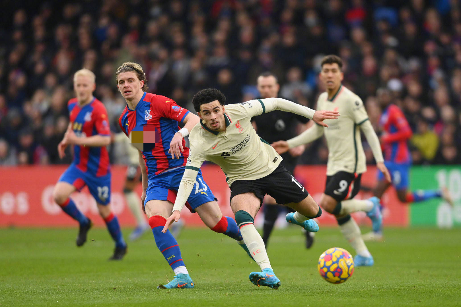 员的成长提 员的成长提